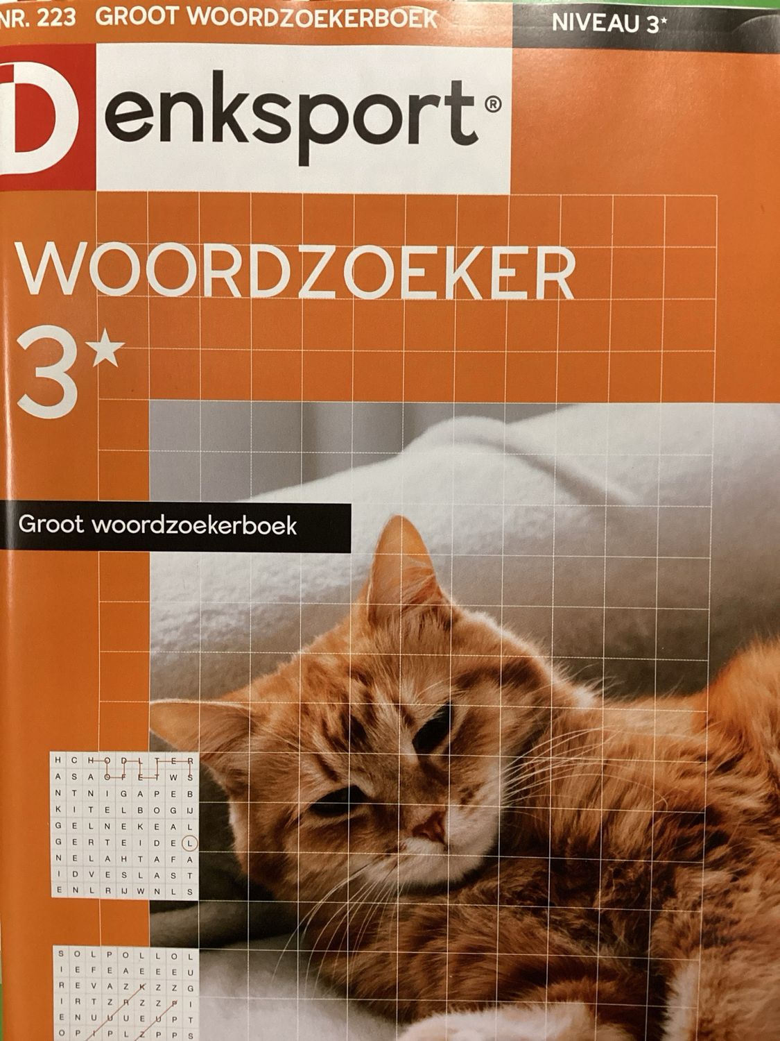 DS GROOT WOORDZOEKERBOEK #223