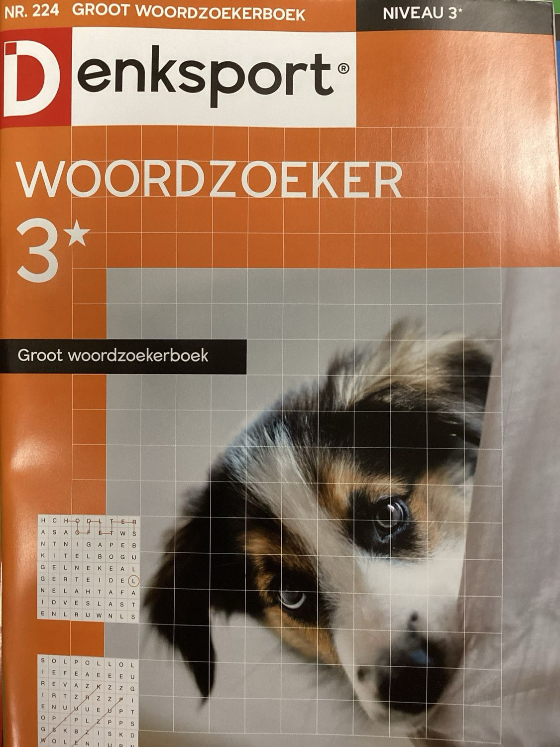DS GROOT WOORDZOEKERBOEK #224