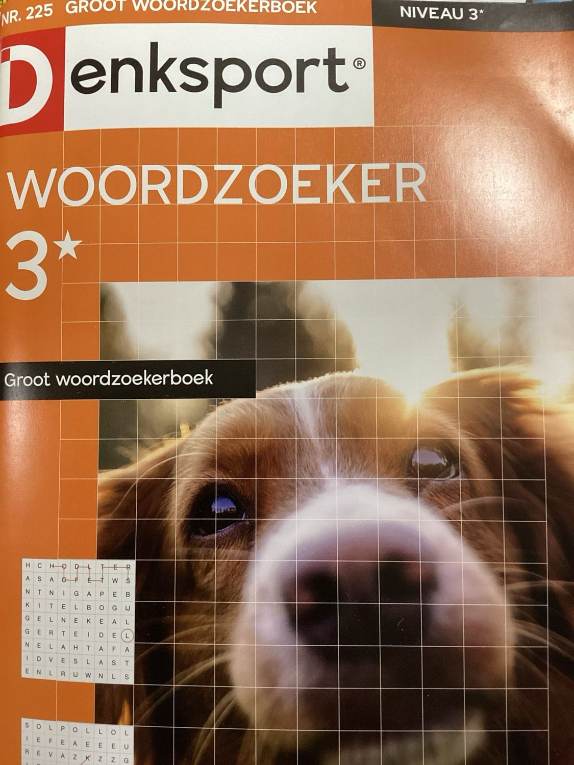 DS GROOT WOORDZOEKERBOEK #225