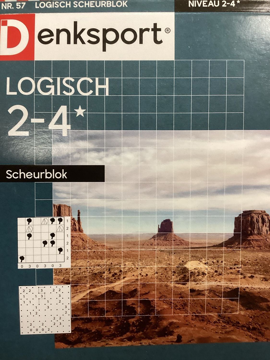 DS LOGISCH SCHEURBLOK #57