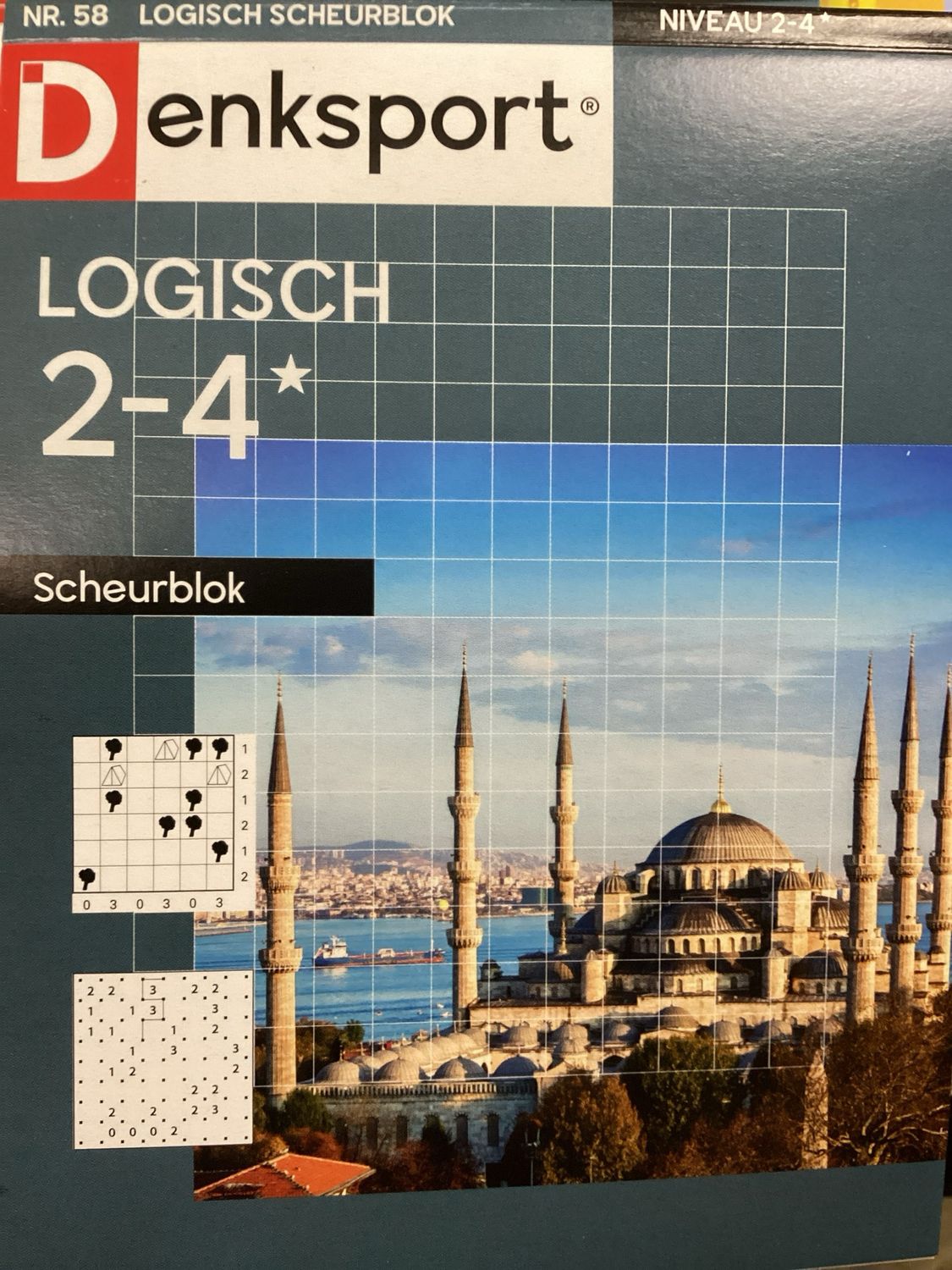 DS LOGISCH SCHEURBLOK #58