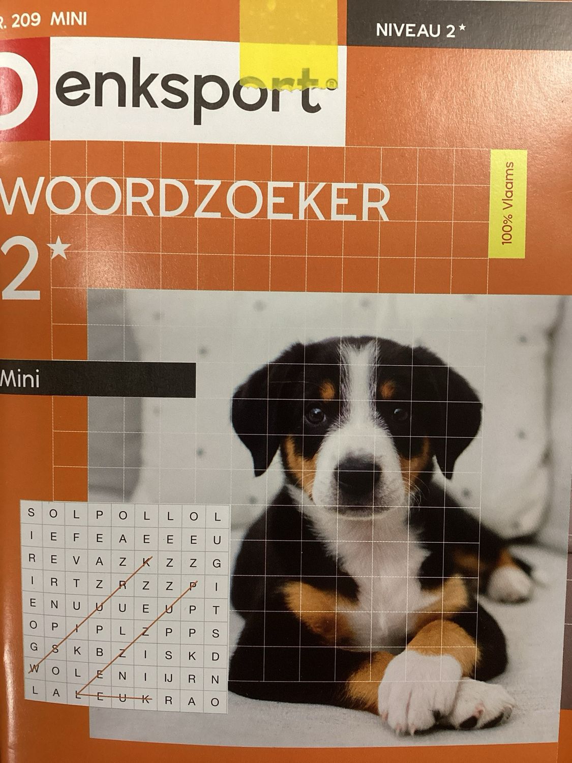 DS WOORDZOEKER MINI #209