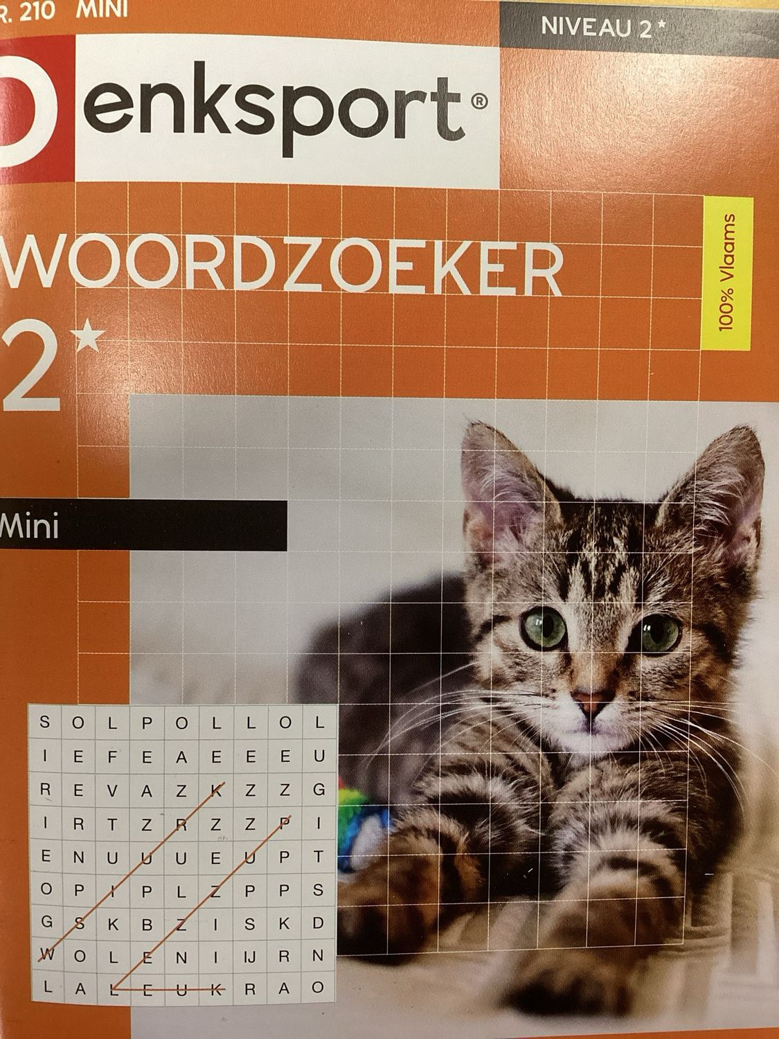 DS WOORDZOEKER MINI #210