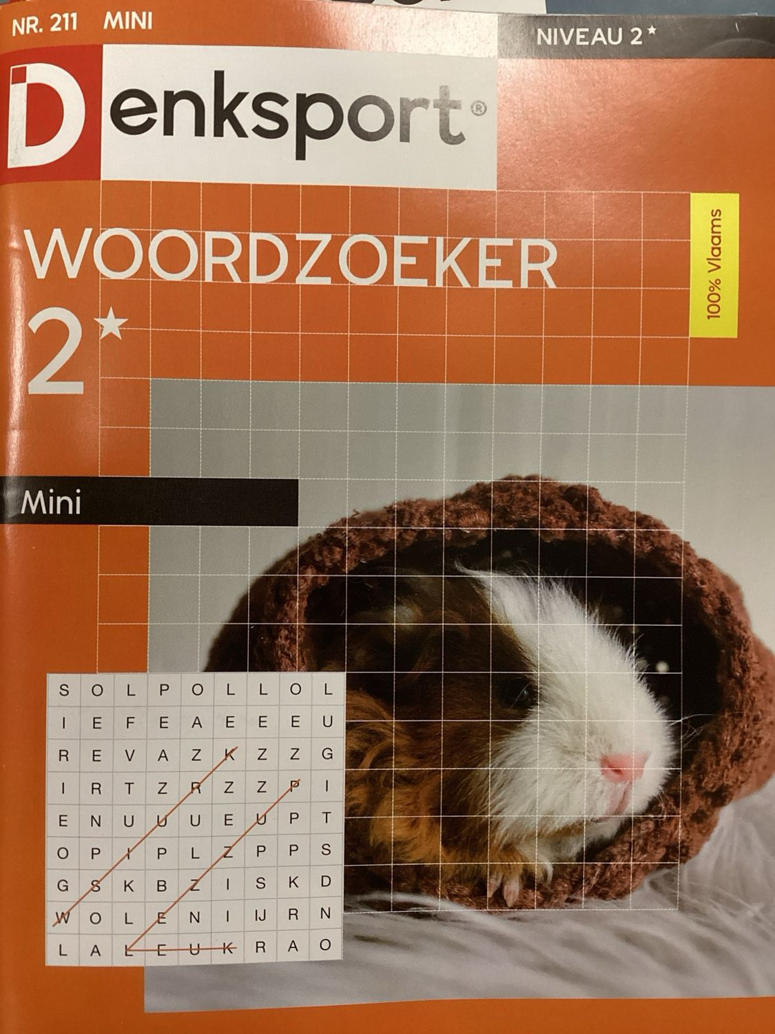 DS WOORDZOEKER MINI #211