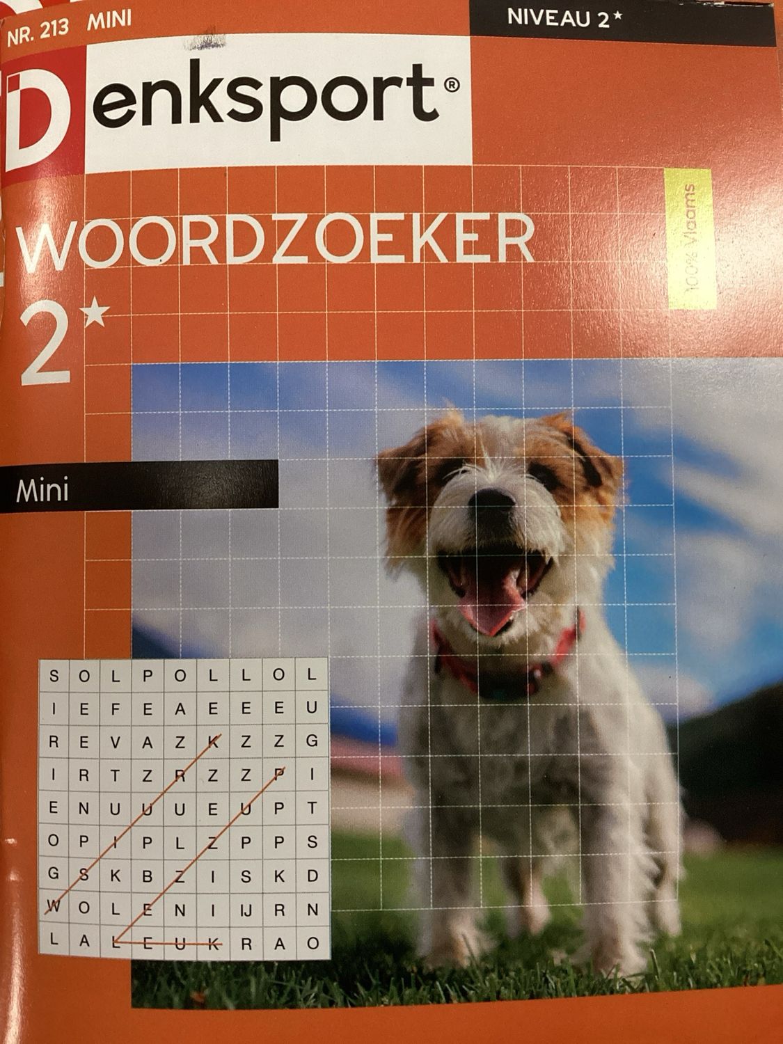 DS WOORDZOEKER MINI #213