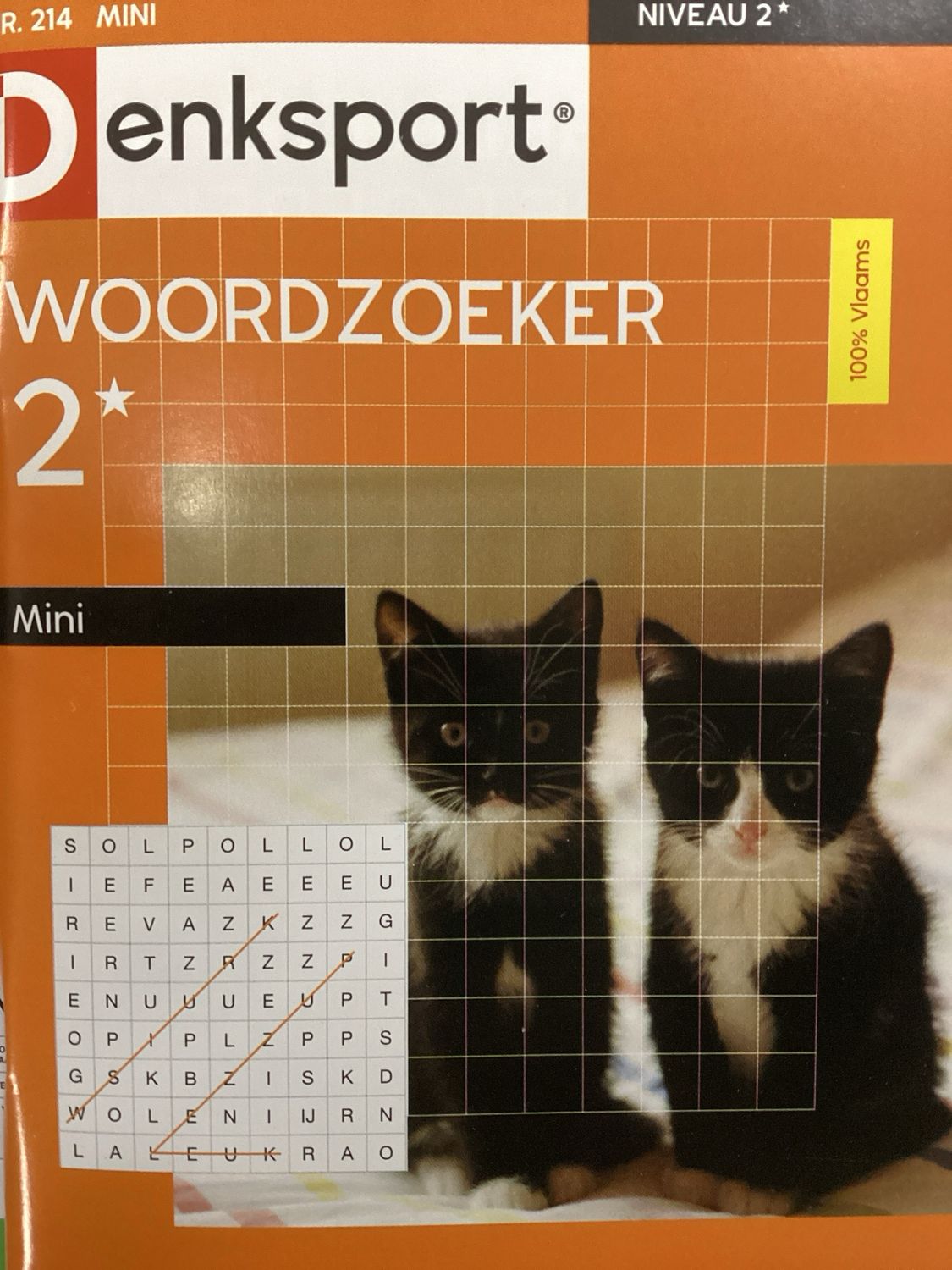 DS WOORDZOEKER MINI #214