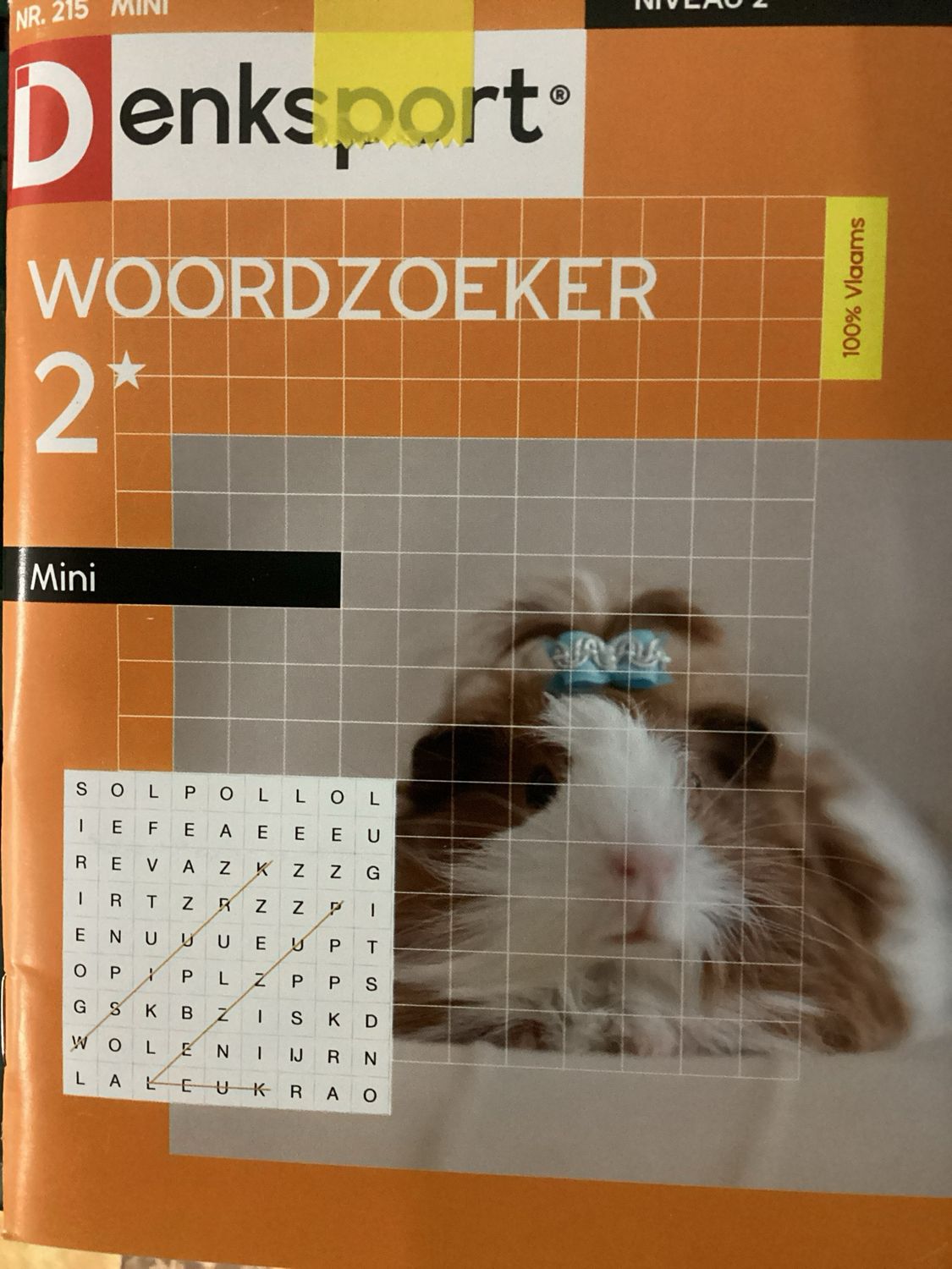 DS WOORDZOEKER MINI #215
