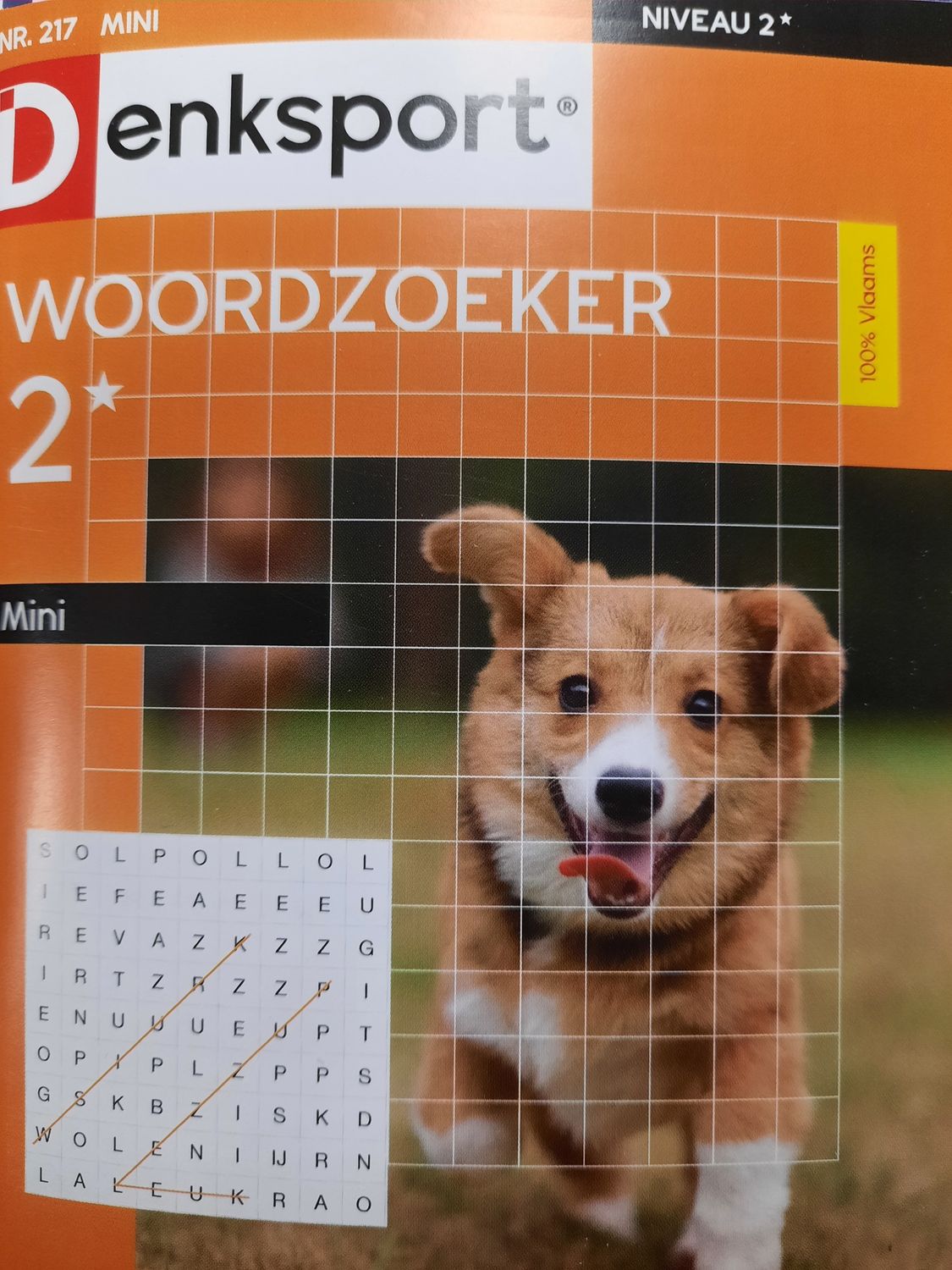 DS WOORDZOEKER MINI #217