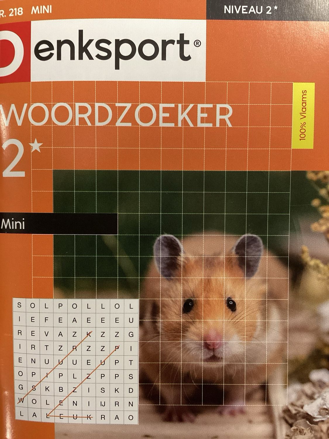 DS WOORDZOEKER MINI #218