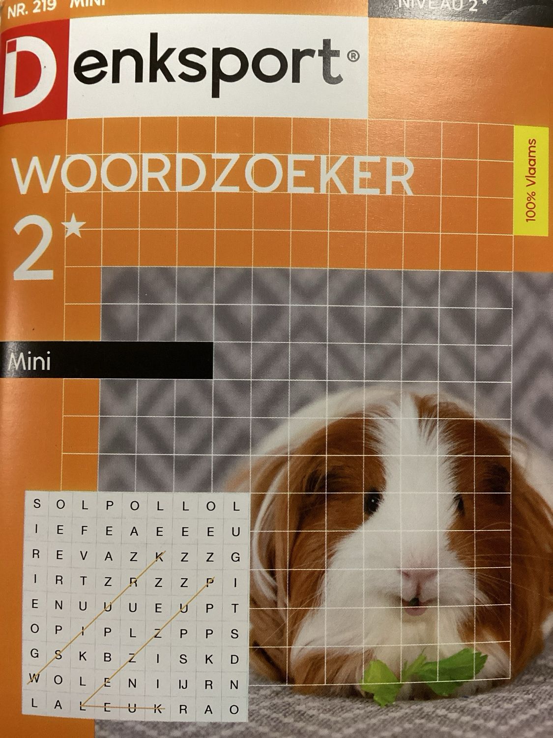 DS WOORDZOEKER MINI #219