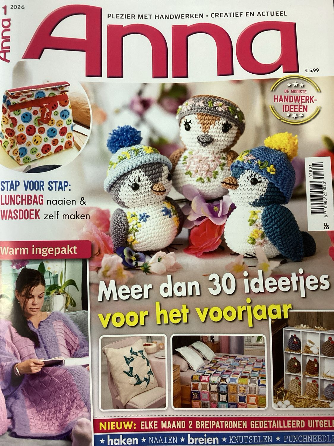 ANNA HANDWERKEN MET PLEZIER #2601