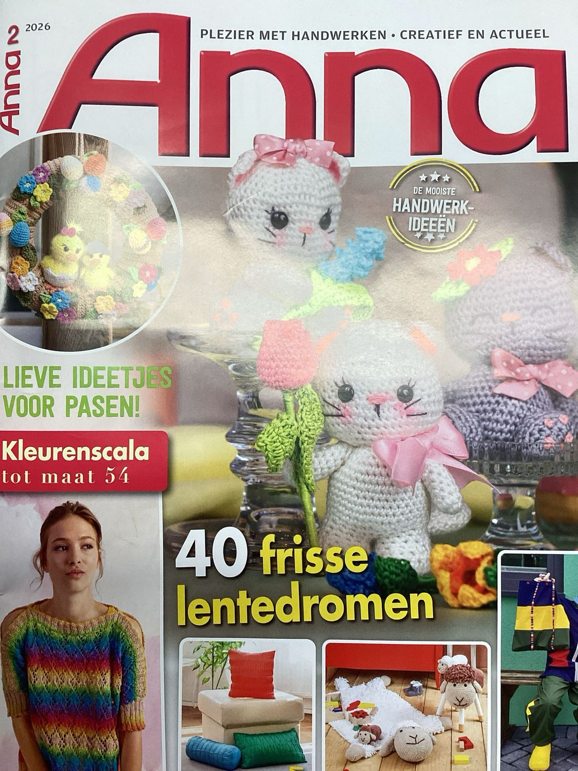 ANNA HANDWERKEN MET PLEZIER #2602