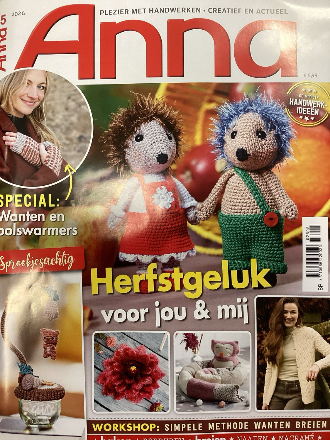 ANNA HANDWERKEN MET PLEZIER #2605