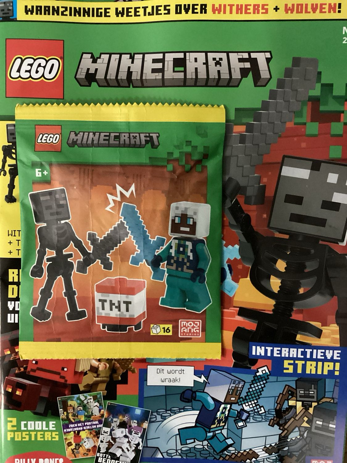 LEGO MINECRAFT #6
