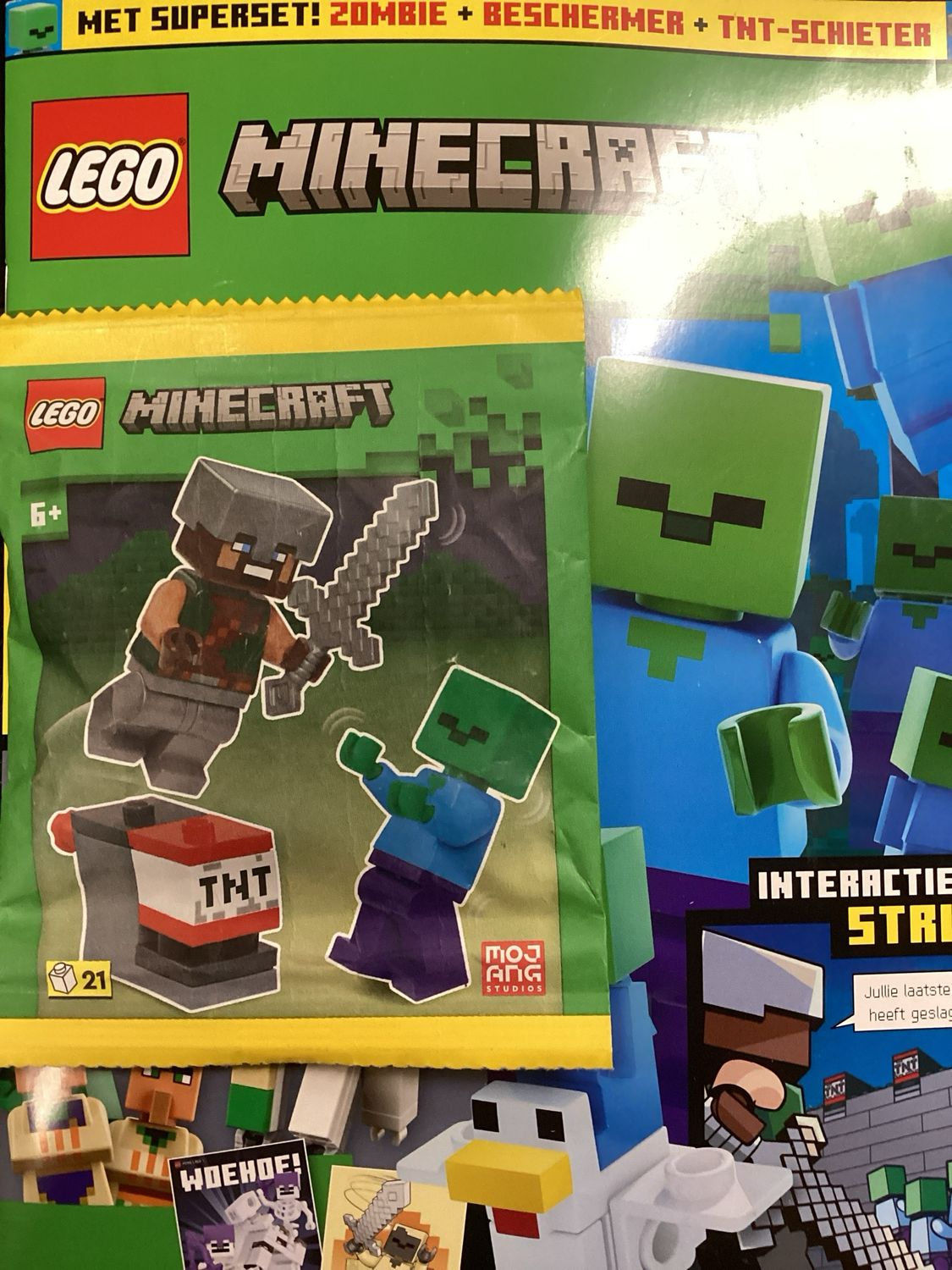 LEGO MINECRAFT #9/25
