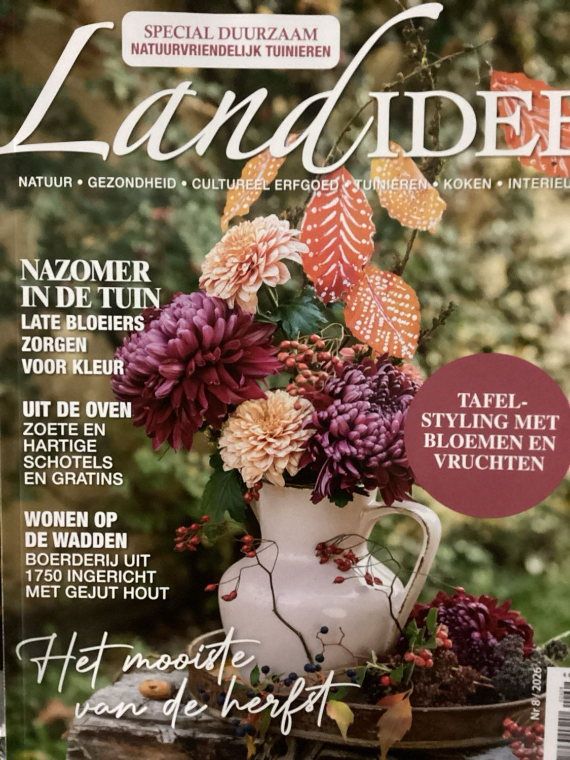 LANDIDEE #8