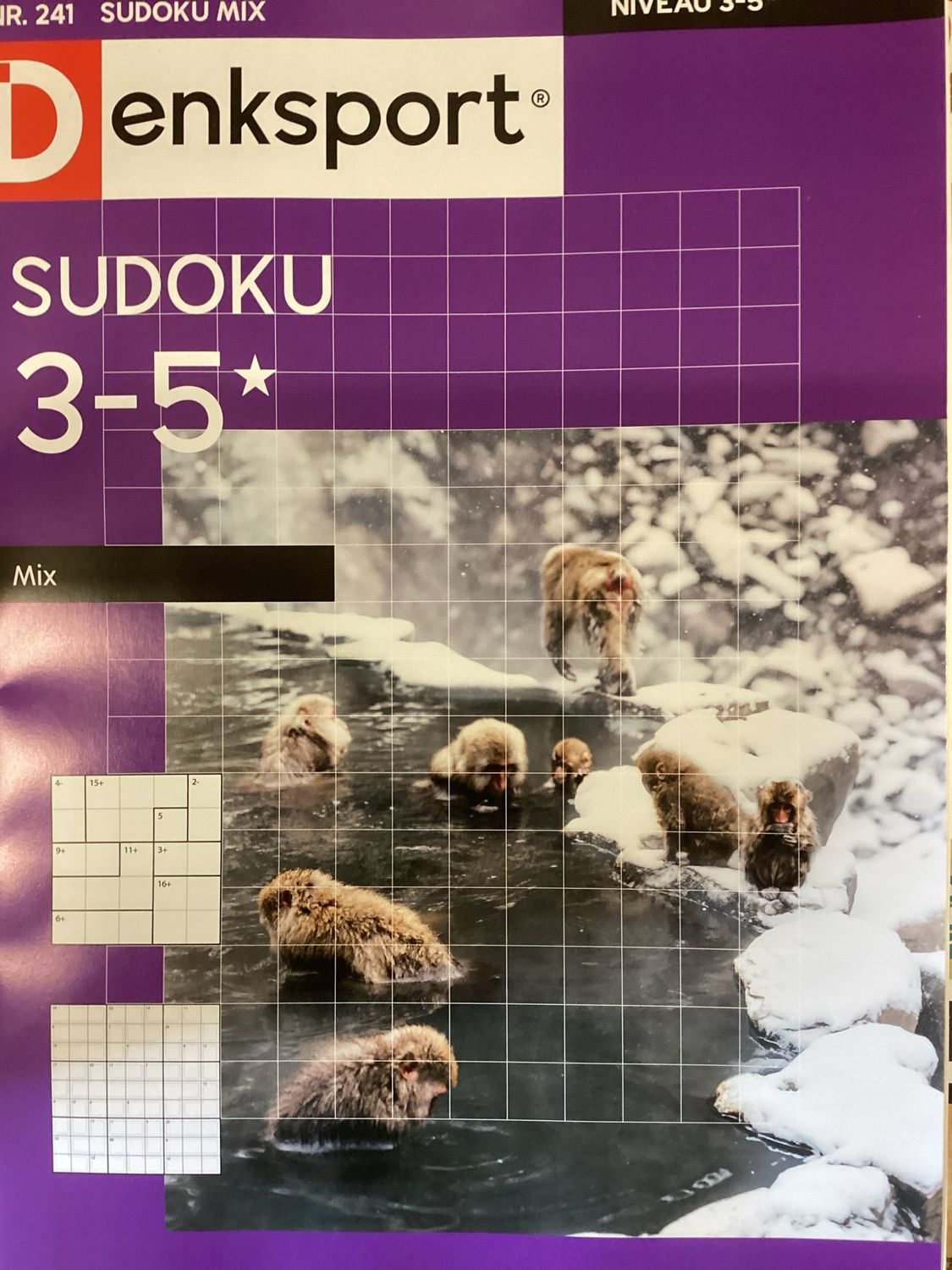 DS SUDOKU MIX #241