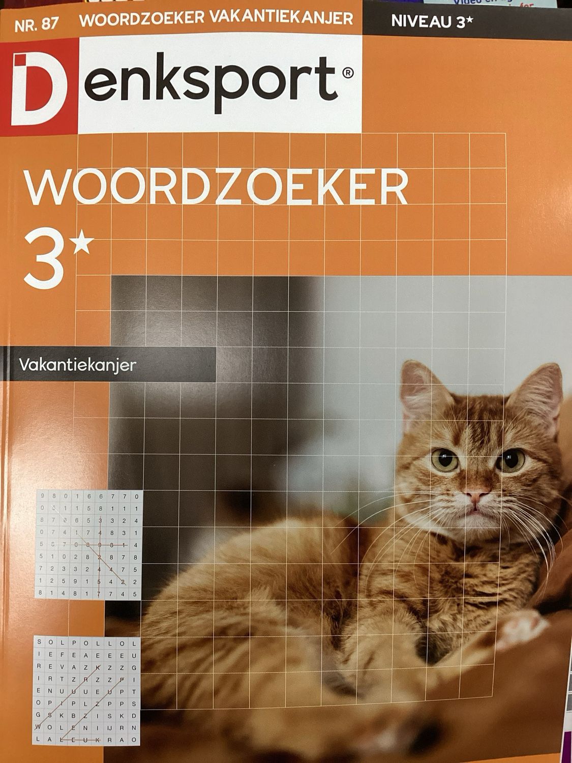DS WOORDZOEKER VAK.KANJER #87