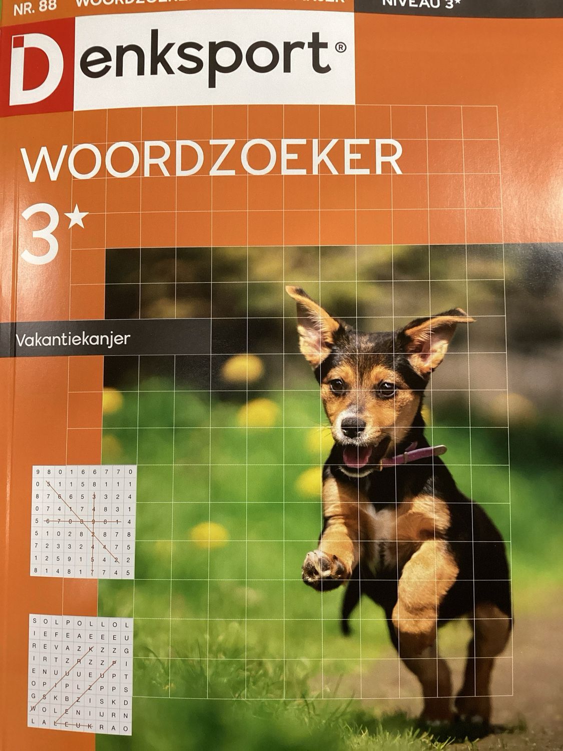 DS WOORDZOEKER VAK.KANJER #88