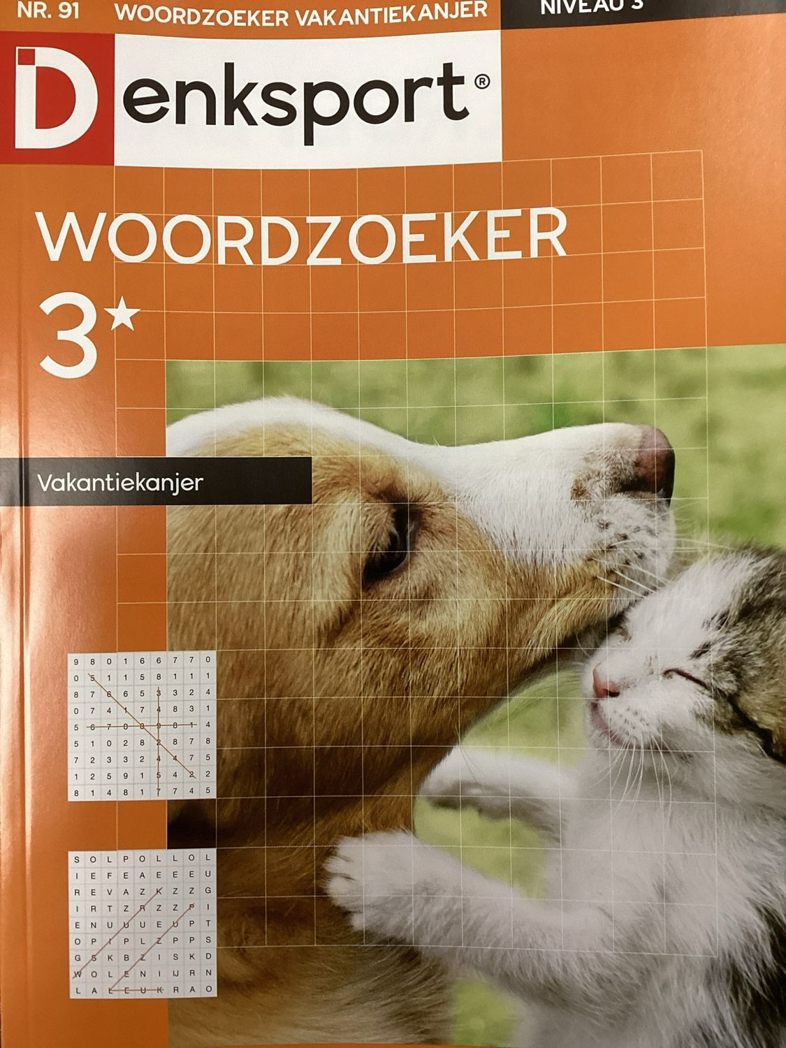 DS WOORDZOEKER VAK.KANJER #91