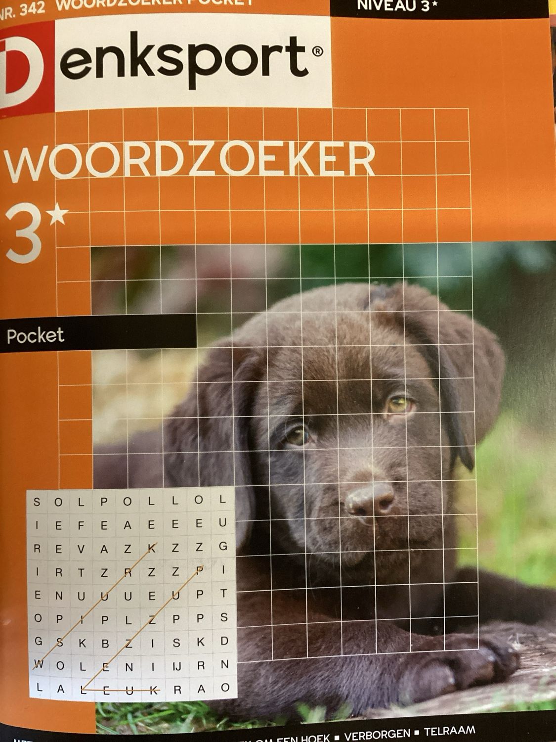 DS WOORDZOEKERPOCKET #342
