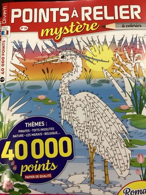 POINTS A RELIER MYSTERE #24