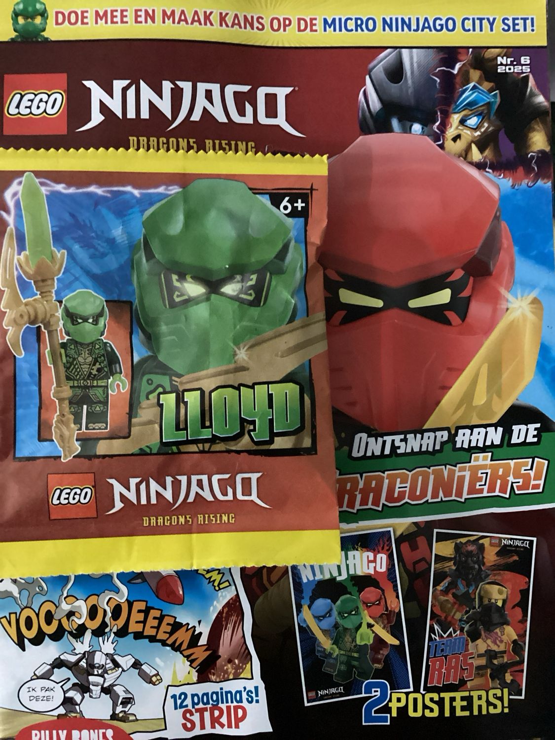 LEGO NINJAGO #6