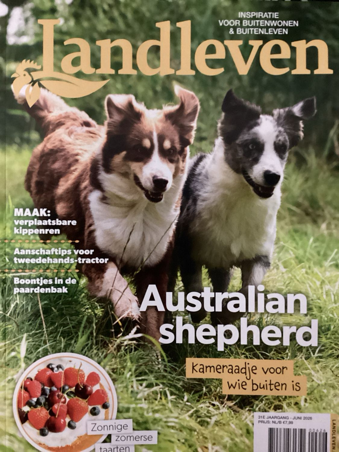 LANDLEVEN #6