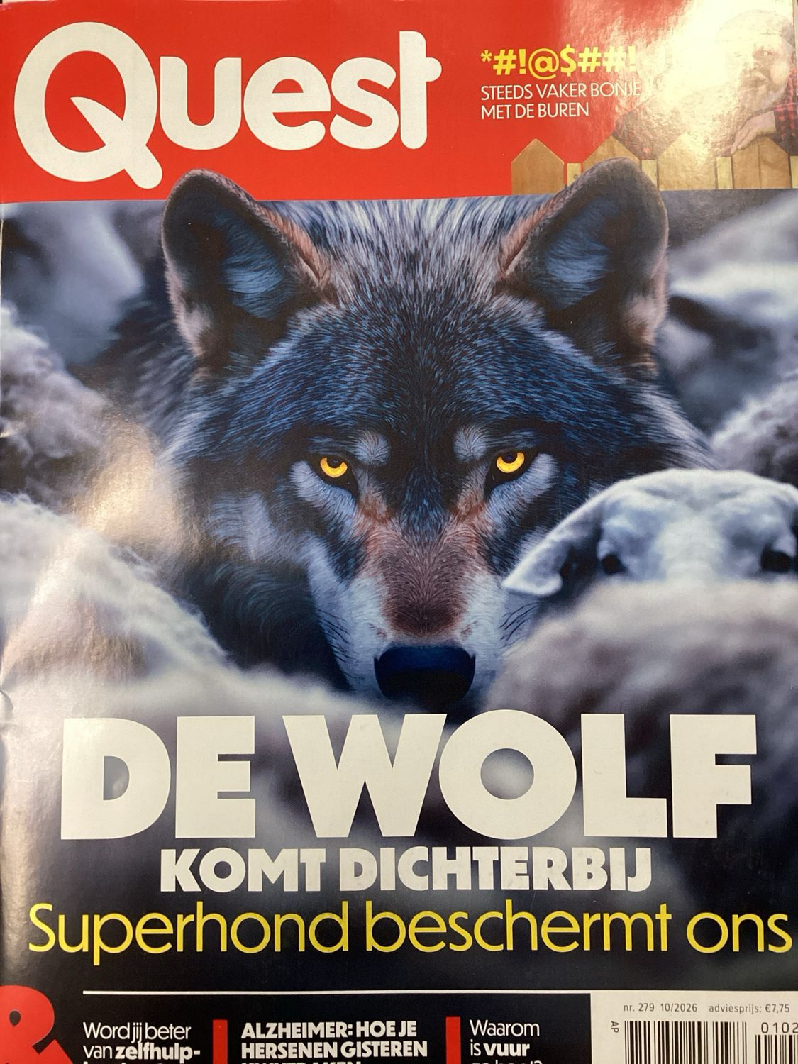 QUEST #10