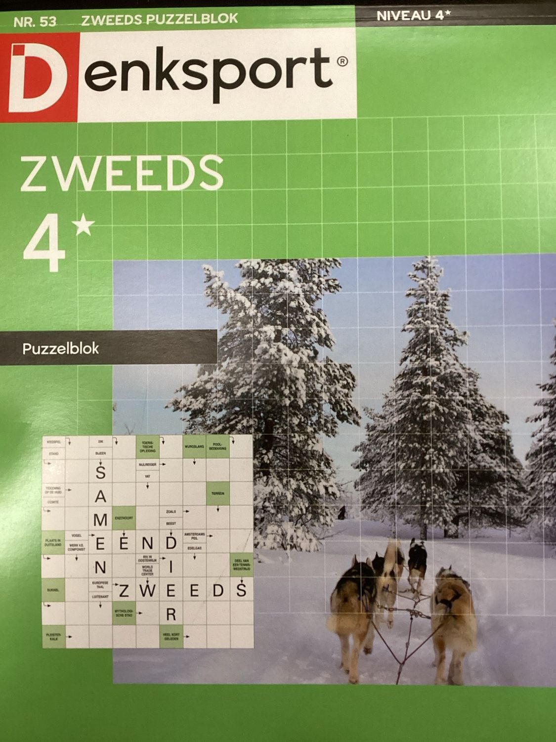 DS ZWEEDS PUZZELBLOK #53