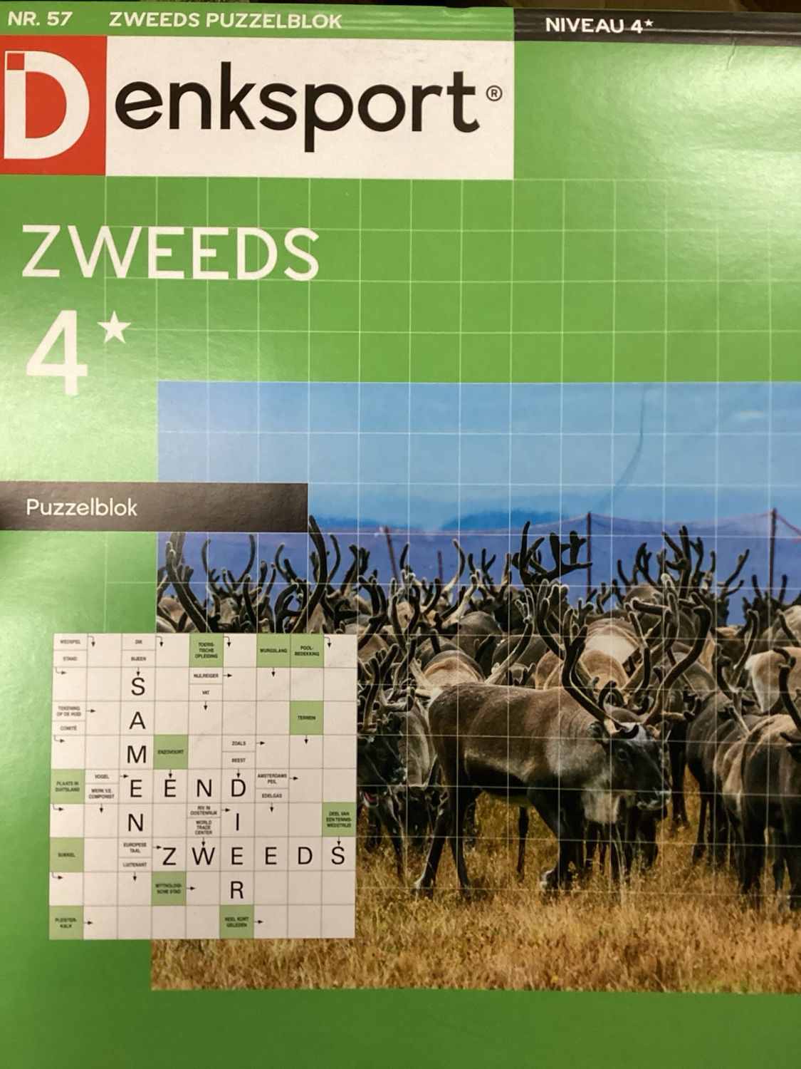 DS ZWEEDS PUZZELBLOK #57