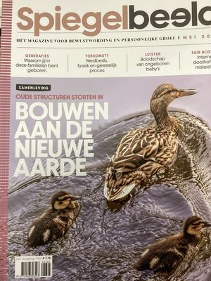 SPIEGELBEELD #2604