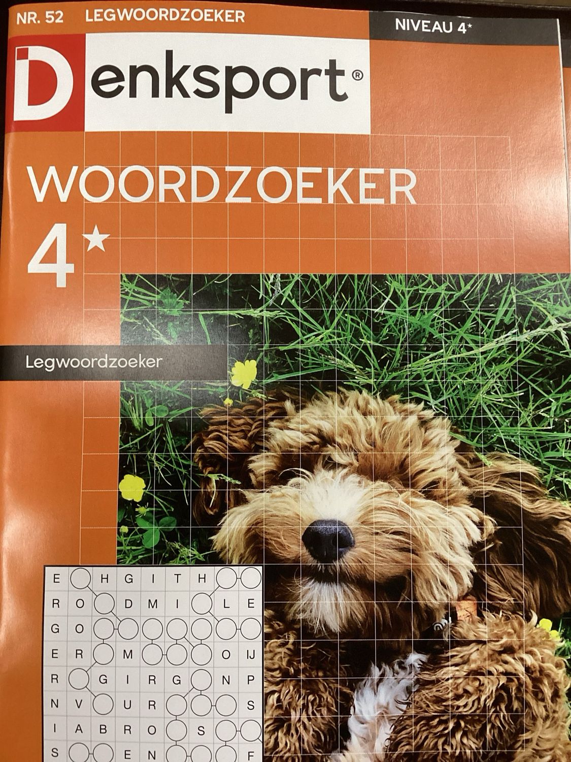 DS LEGWOORDZOEKER #52