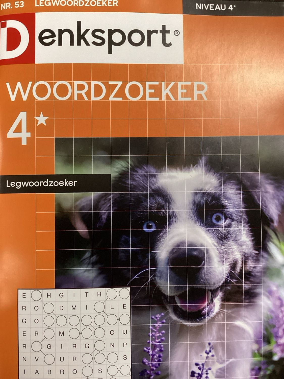 DS LEGWOORDZOEKER #53
