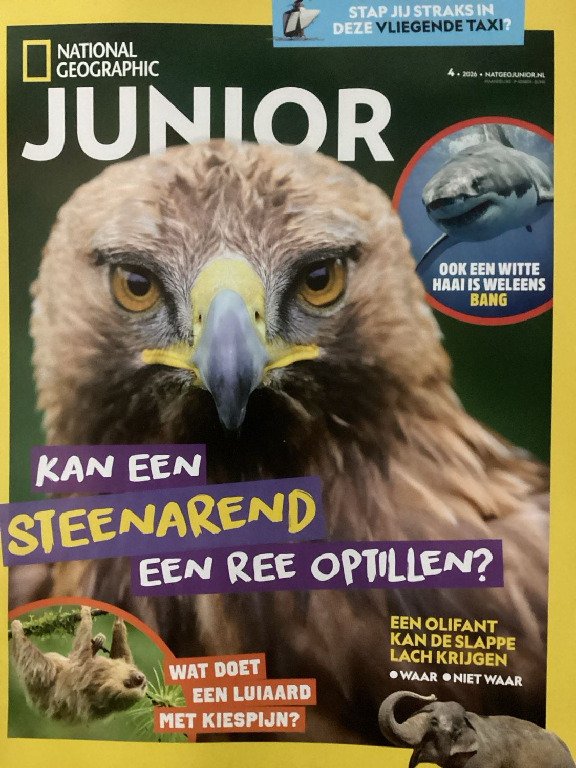 NATIONAL GEOGRAPHIC JUNIO #4