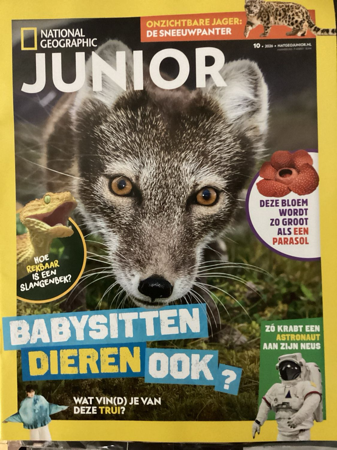 NATIONAL GEOGRAPHIC JUNIO #8