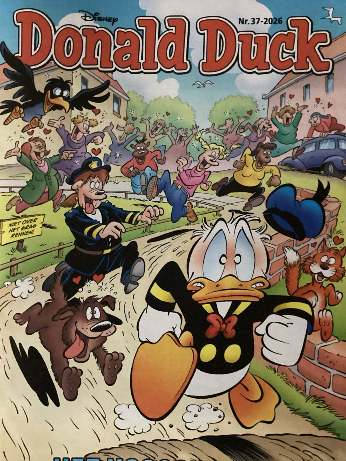 DONALD DUCK #37/26