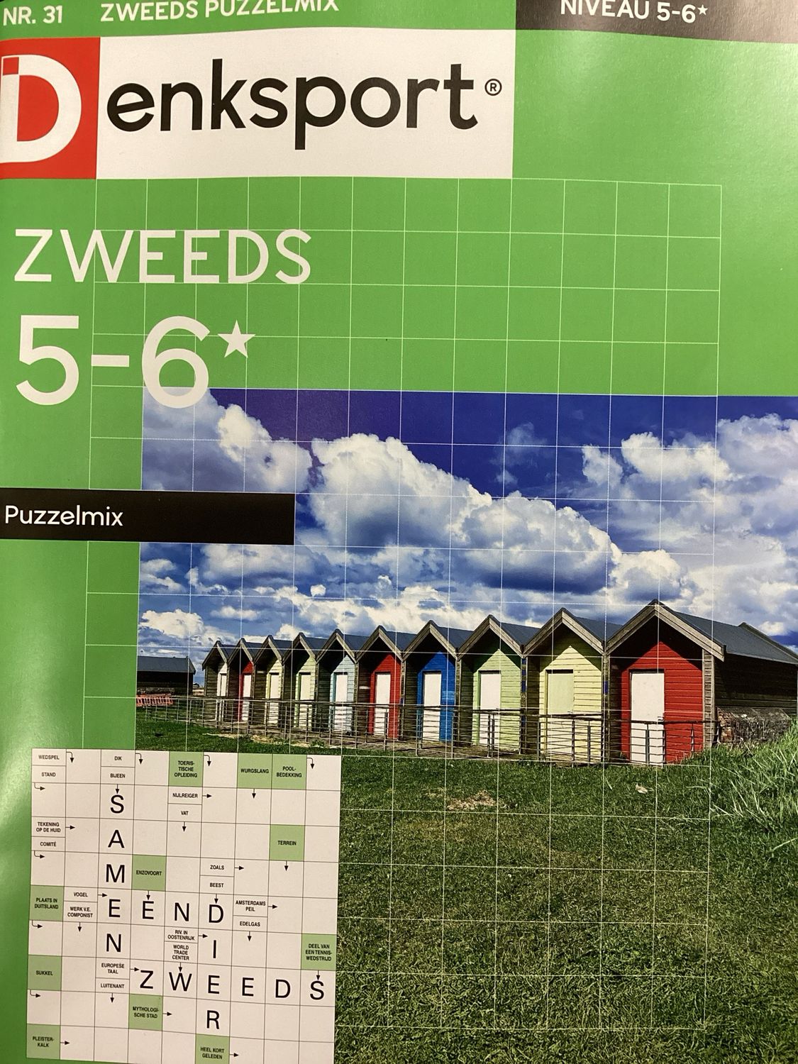 DS ZWEEDS 5-6 PUZZELMIX #31