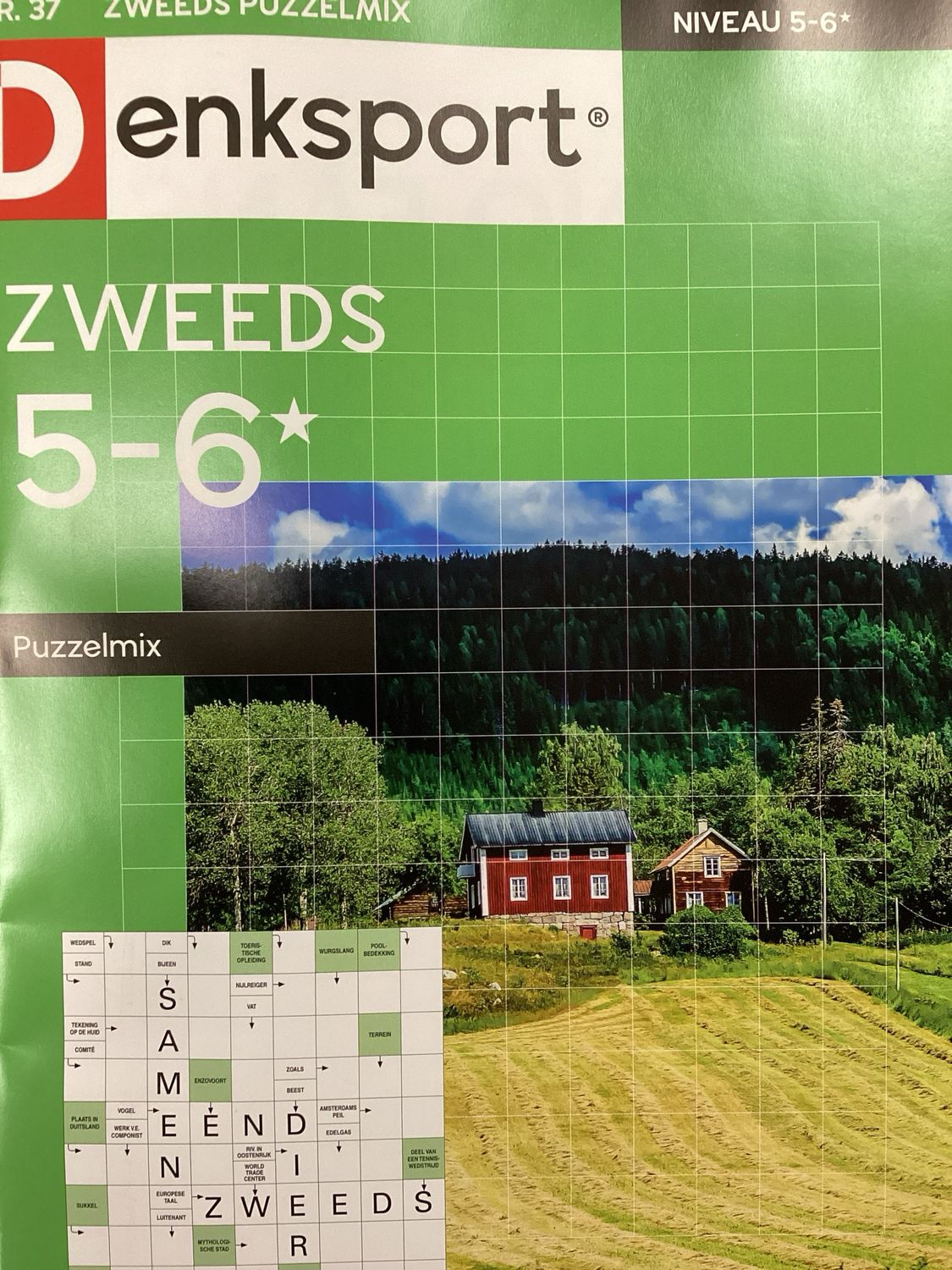 DS ZWEEDS 5-6 PUZZELMIX #37