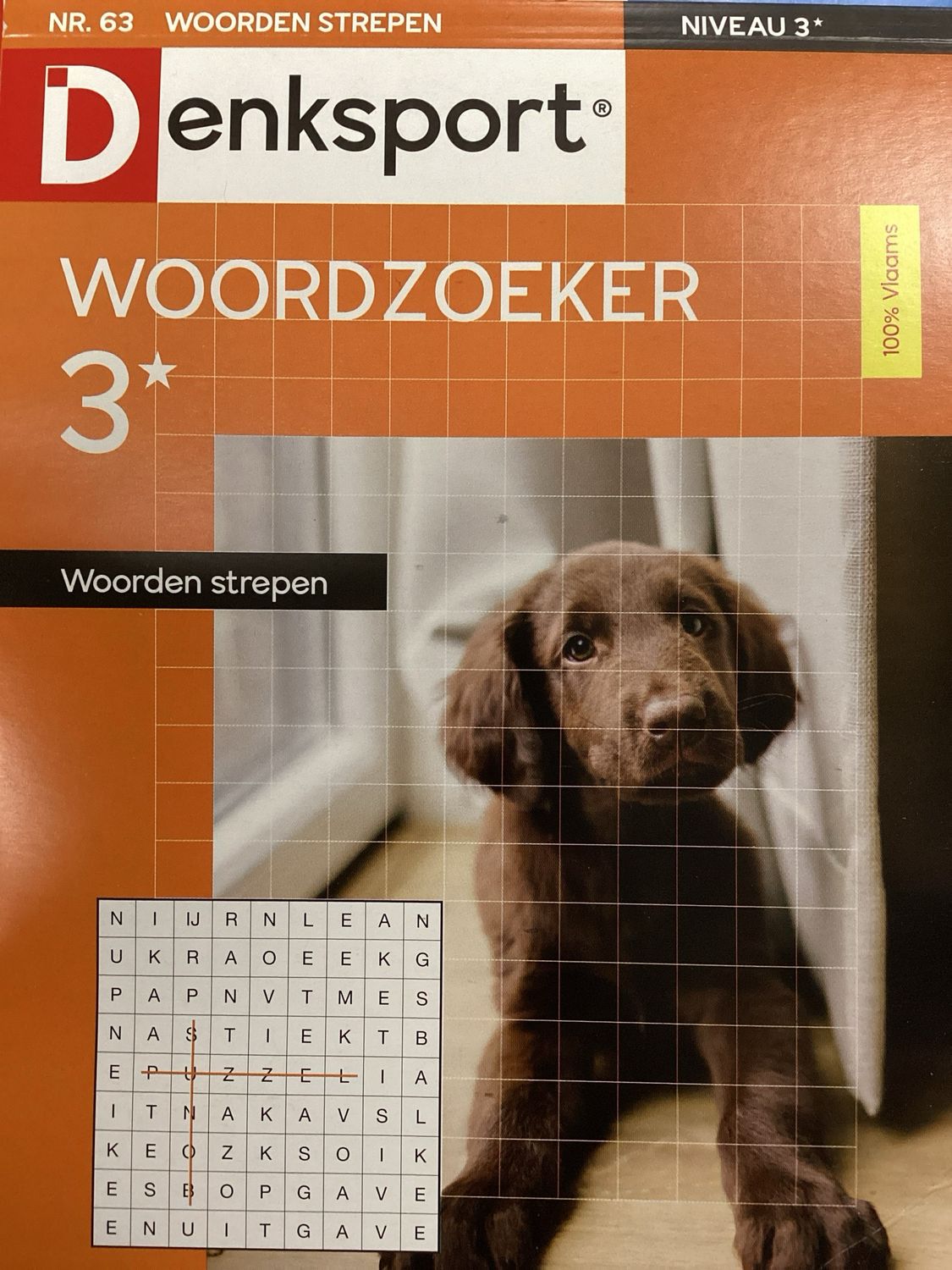 DS WOORDEN STREPEN #63