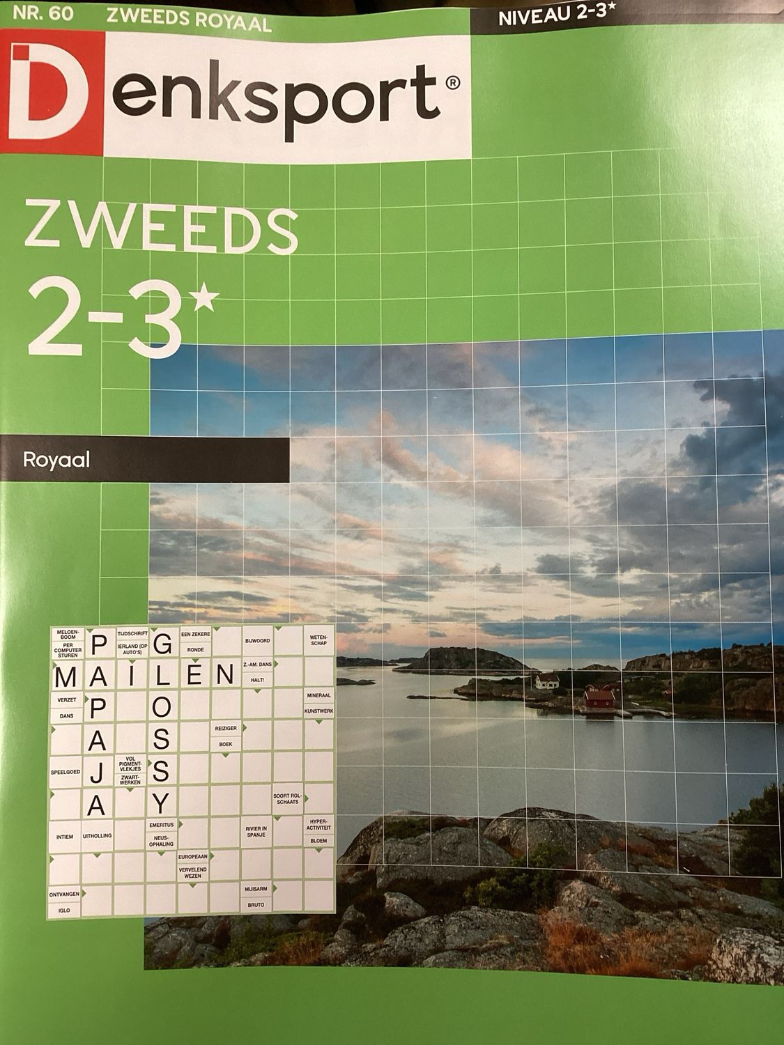 DS ZWEEDS 2-3 ROYAAL #60