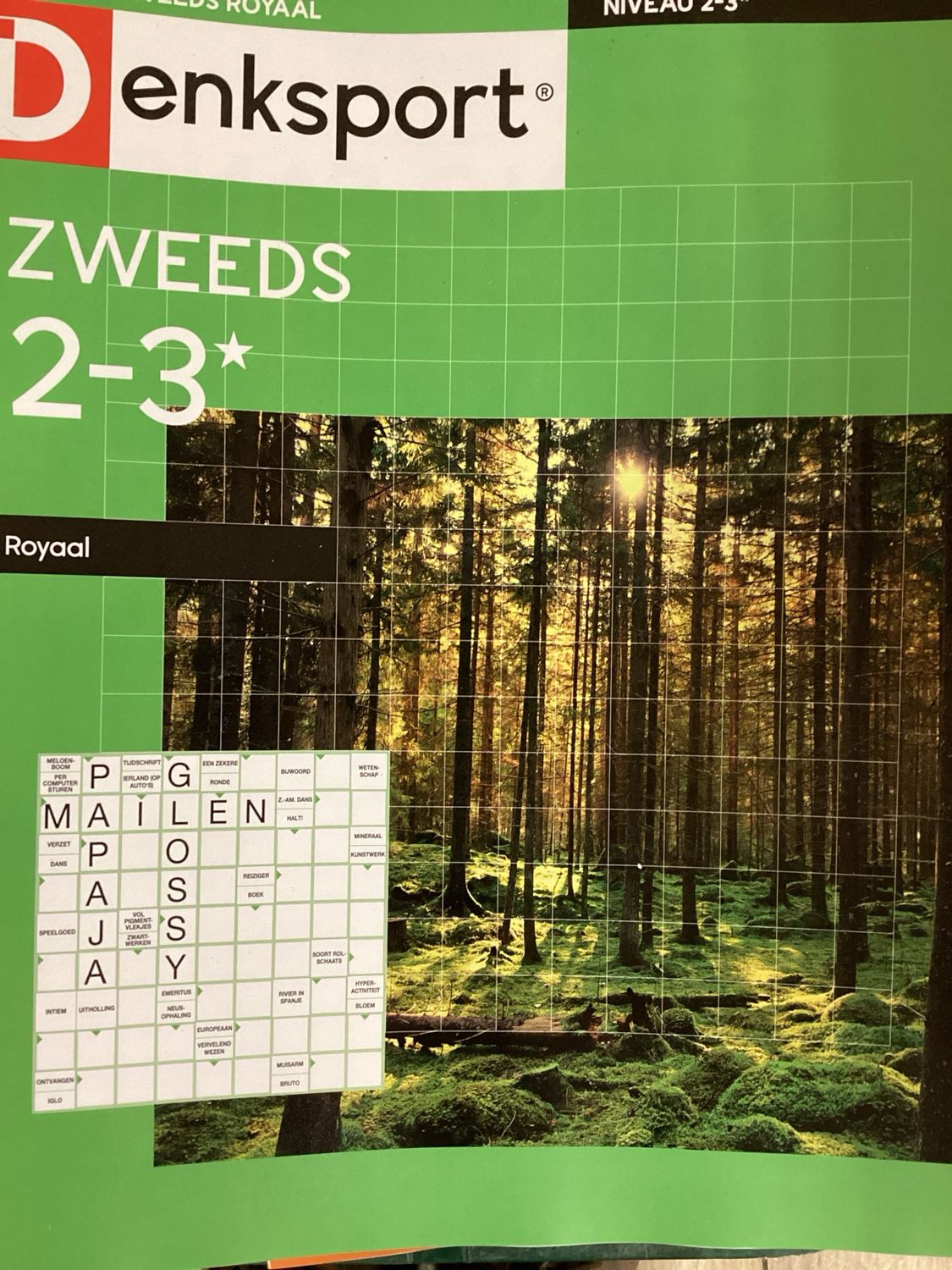 DS ZWEEDS 2-3 ROYAAL #62