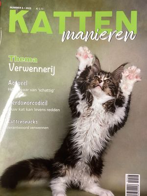 KATTENMANIEREN #6