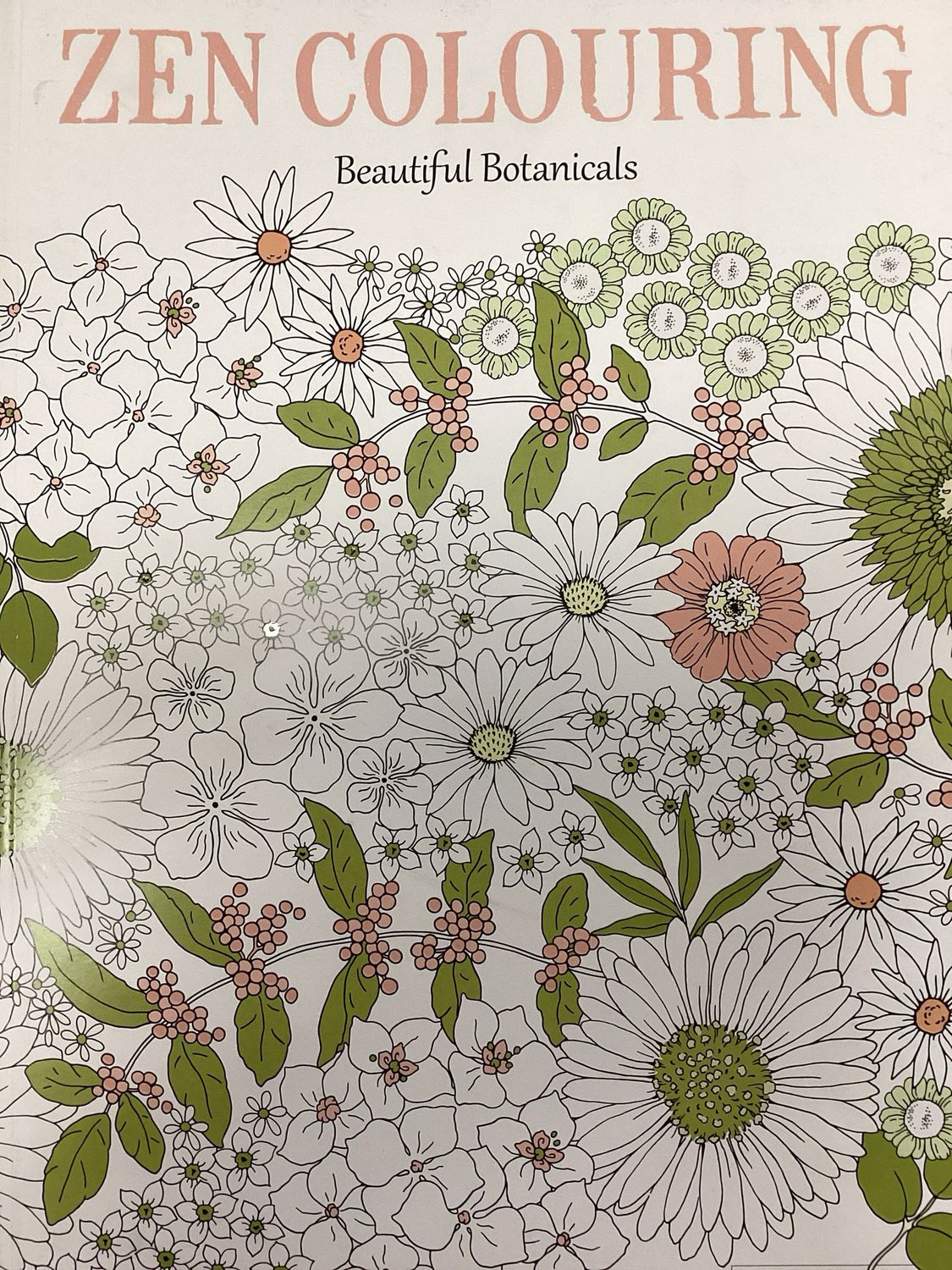 ZEN COLOURING GB #99