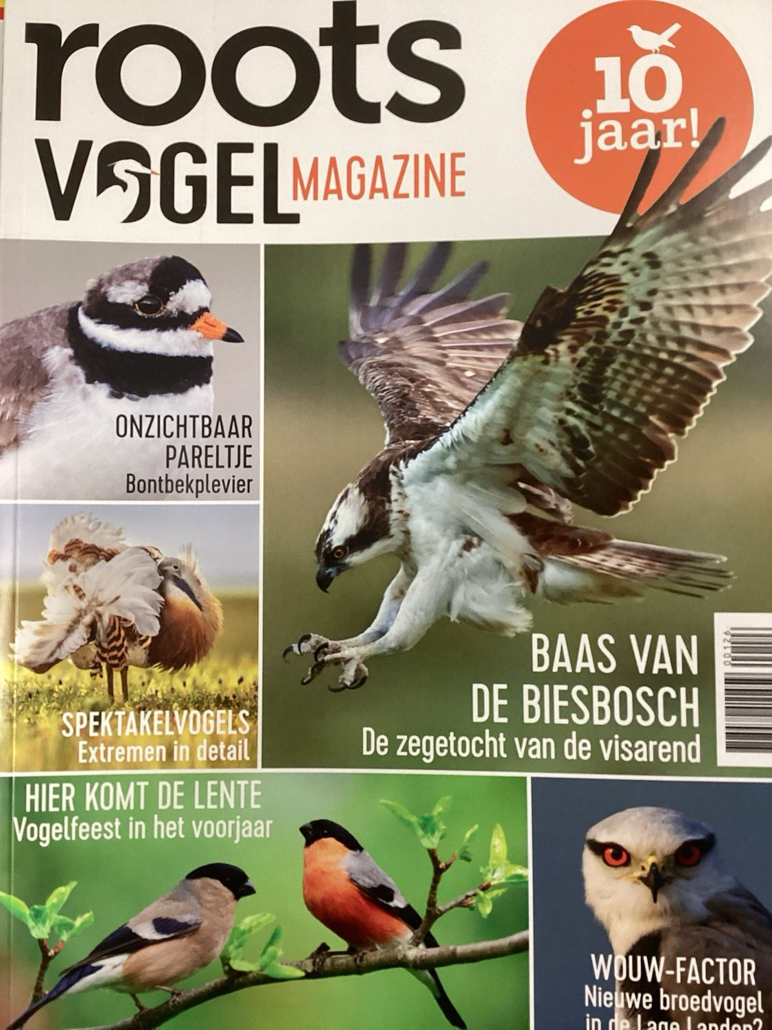 ROOTS VOGELMAGAZINE #2/25