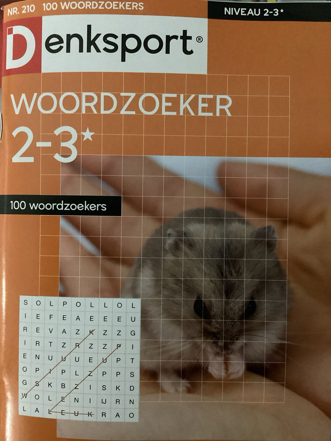 DS 100 WOORDZOEKERS #210