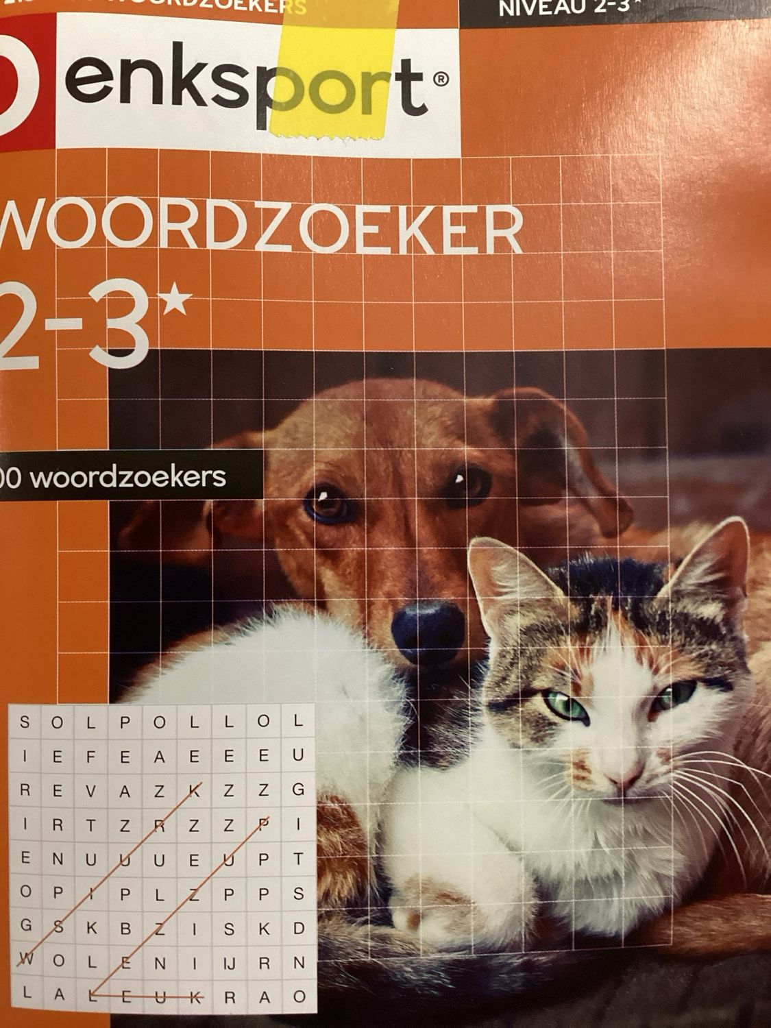 DS 100 WOORDZOEKERS #213