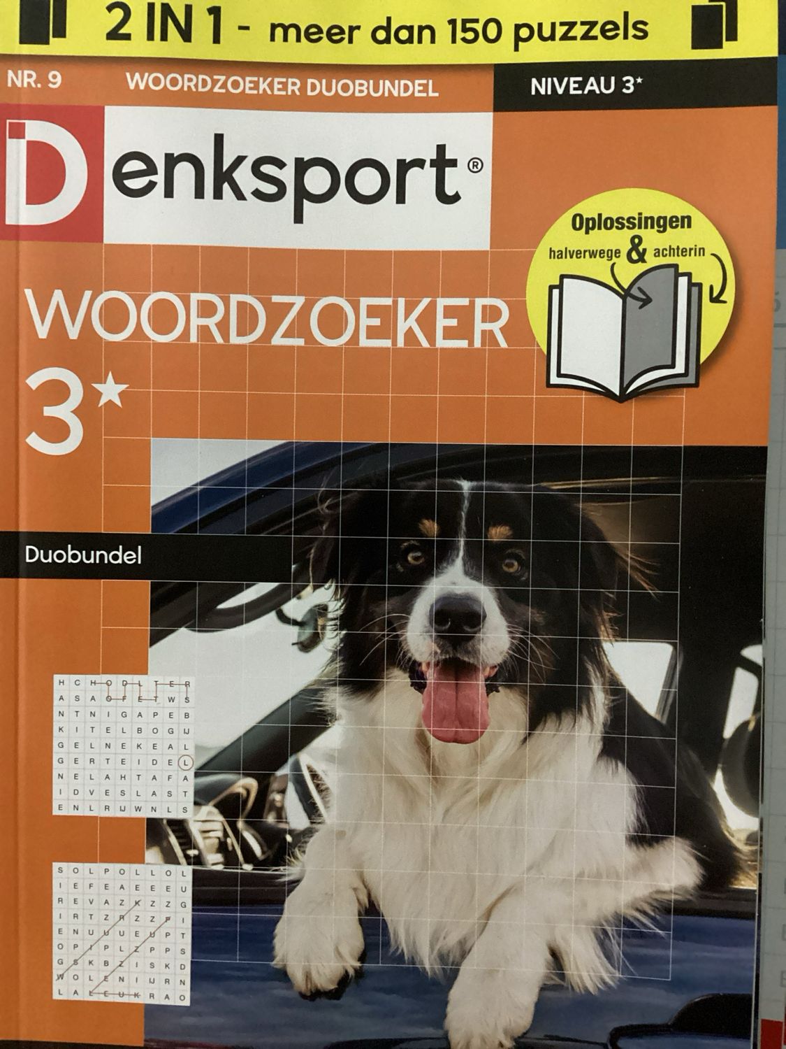 DS WOORDZOEKER DUO #9