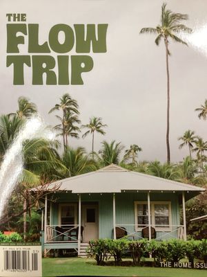 THE FLOW TRIP US #26001