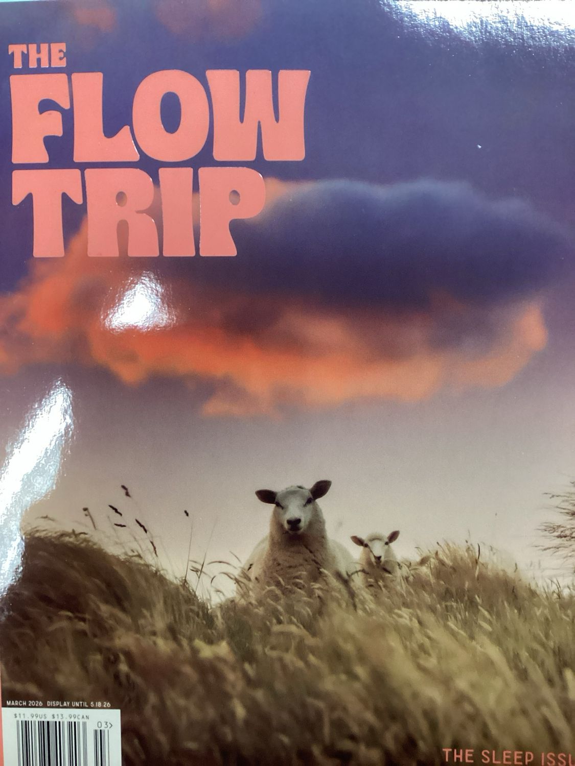 THE FLOW TRIP US #26001
